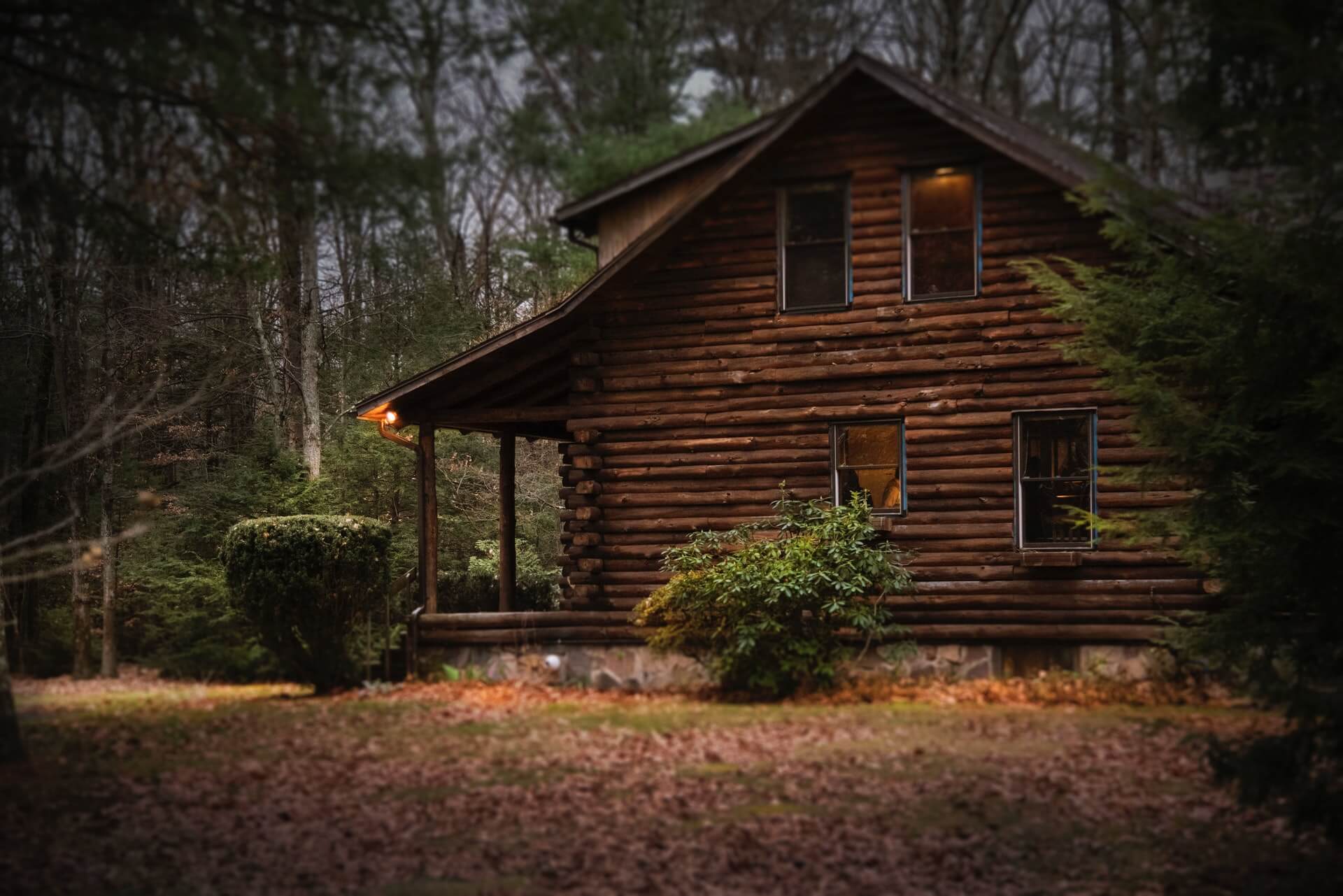 cabinDay