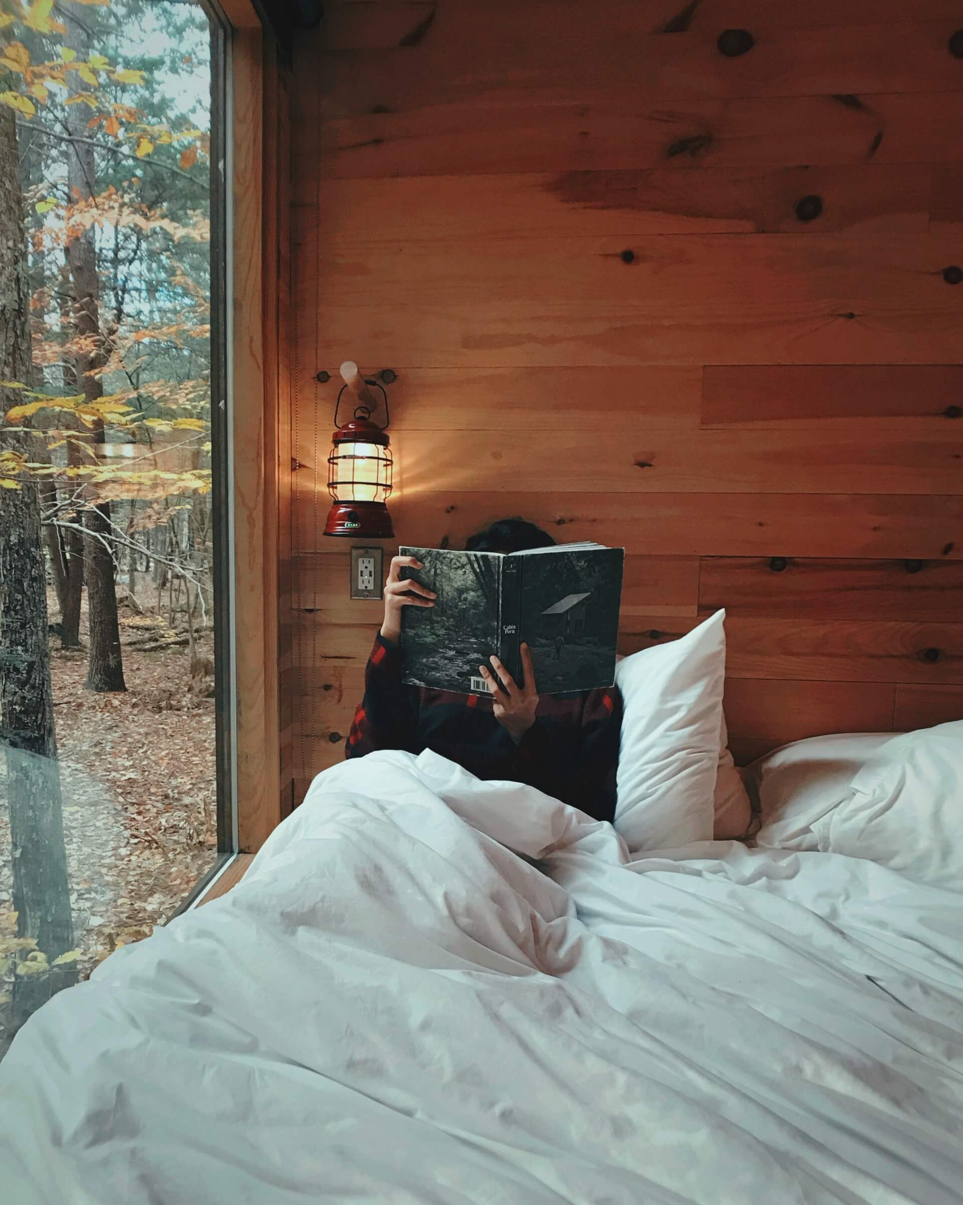 cabinInterior3